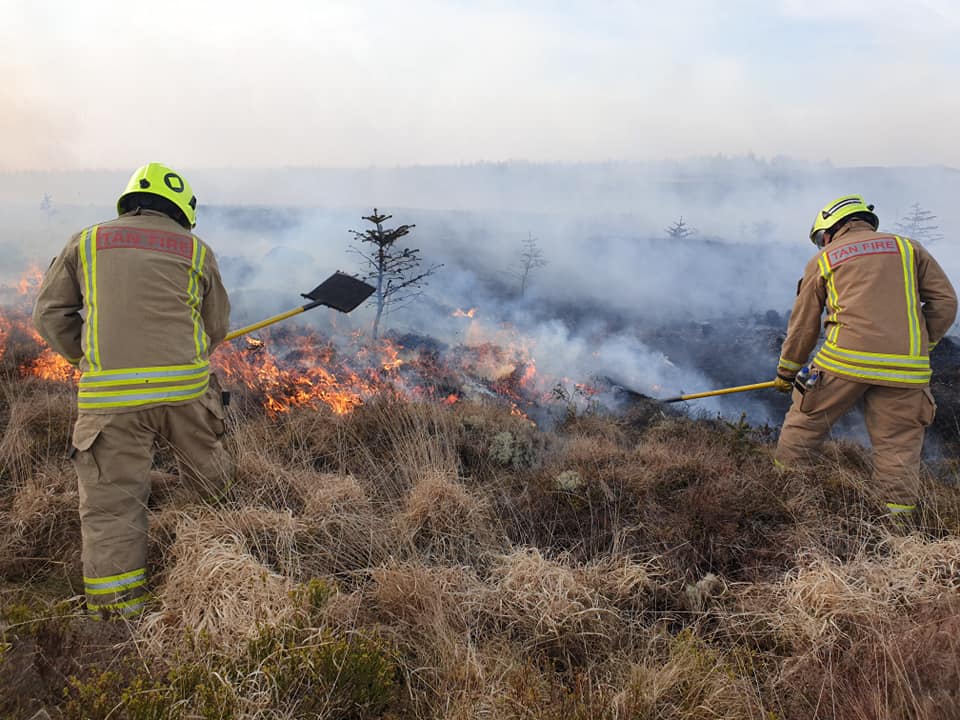 dawns glaw fire Tan gwair